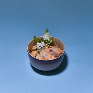 Pierogi z wiśnią (12 szt.)