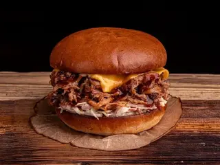 Pulled Pork Burger