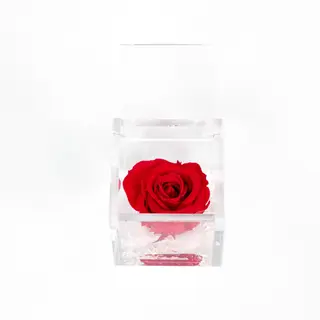 Medio Flowercube
