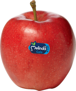 Mele Melinda 1 kg