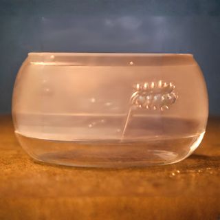 Spaghete crete prajite cu carne si legume