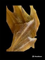 Камбалка, 50г.