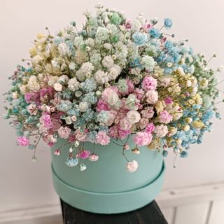 Flowerbox z gipsowką kolorową 