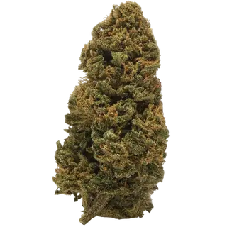 Amnesia 5Gr.