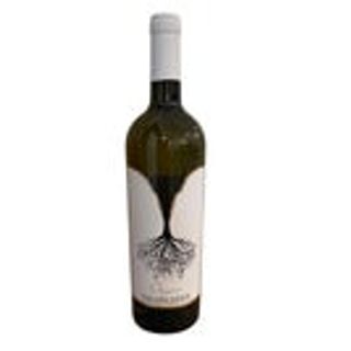 Vino bianco Falanghina 75 cl