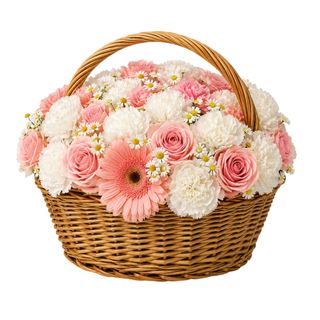 Blush Garden