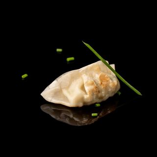 Gyoza Clásico De Pollo Y Verdura