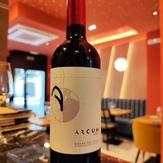 Vino Tinto Arcum (750 Ml.)
