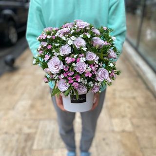 LIght purple mix box XS