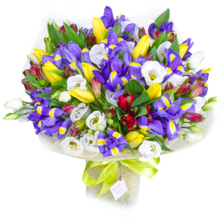 Buvhet irisi, lalele, eustoma si alstroemeria