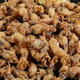 Puntillitas (ración)