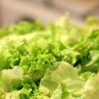 Extra: Lechuga