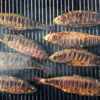 Scrumbie la gratar cu mămăliguță