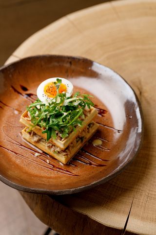 Regele mării adânci