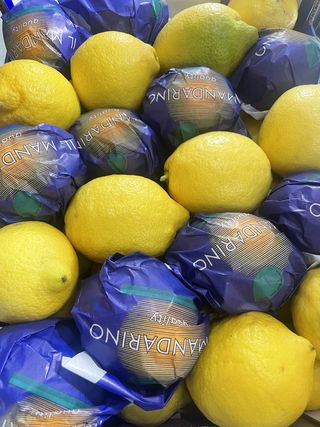 Limone succoso 500 g