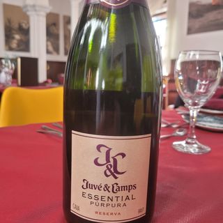 Vino Juve Camps Purpura