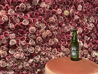 Heineken 33 cl