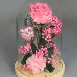 Rosa Preservada Rosa en Cúpula "Bella y Bestia"