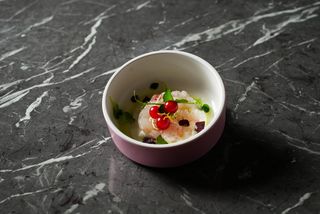 Tartare gambero burrata