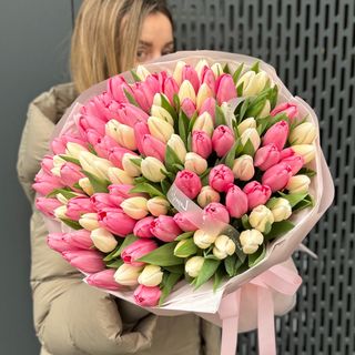 Букет із 101 біло-рожевого тюльпана 