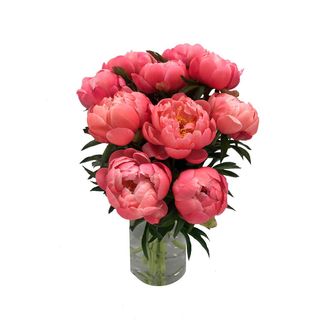 Ramo de peonias rosas