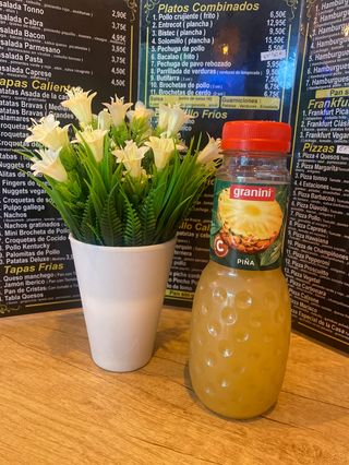 Zumos Granini (330 ml.)