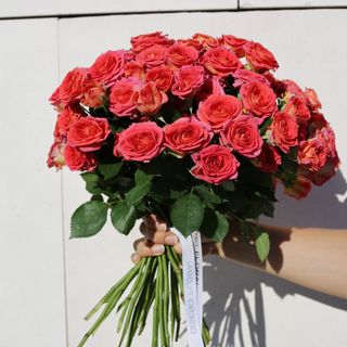 Ramo de 25 Rosas Chimo