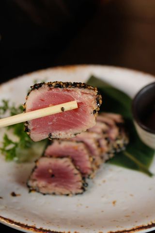 Tataki de Atum