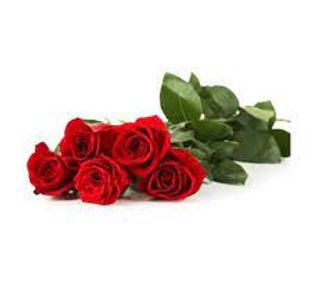 5 Rose rosse