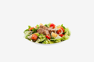 Salata ton