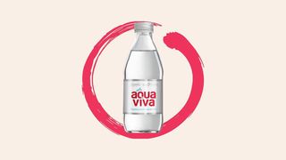 Aqua Viva 0.25l