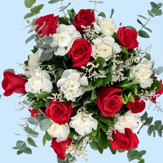 10 Rosas Rojas y Claveles 