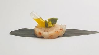 228 - Tartare gambero crudo