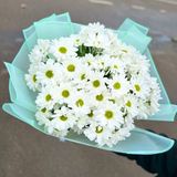 7 гілок білої ромашки у пакуванні