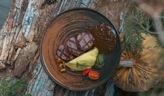 Говяжьи медальоны с пюре и чесночным соусом