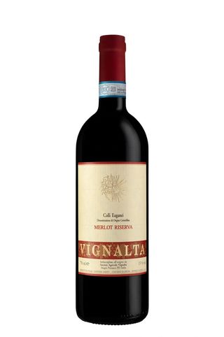 Merlot vignana