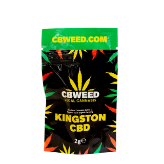Kingston 2g