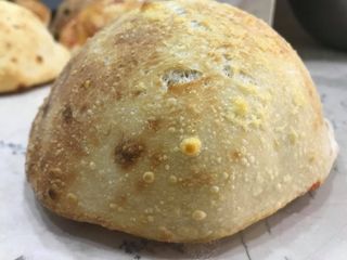 Puccia
