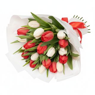 Букет"21 білий та червоний тюльпан"