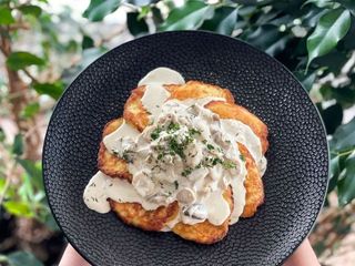 Placki ziemniaczane w sosie borowikowym