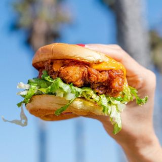 HCL Spicy Buttermilk Fried Deluxe Chicken Burger