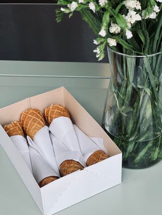  Conjunto de 6 Cones Simples