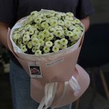 Хризантема сантіні 15 гілочок 