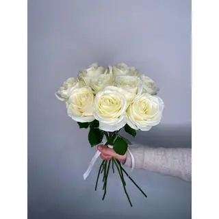 Biała Róża 60 cm, 9 szt