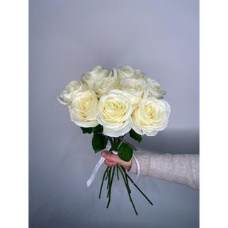 Biała Róża 60 cm, 9 szt
