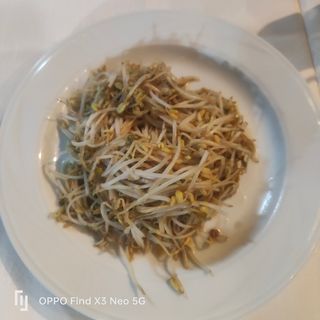 622 Germogli di soia saltati