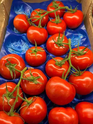 Pomodoro grappolo