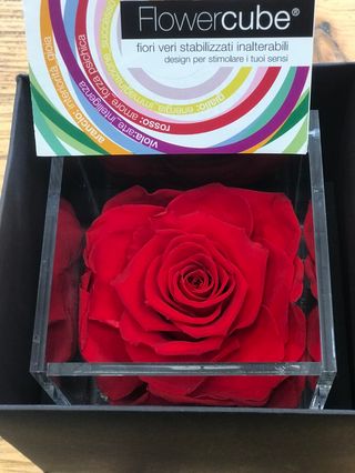 Rosa stabilizzata flower cube rossa