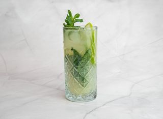 Mint Julep