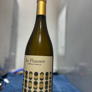 Ribolla gialla le pianure